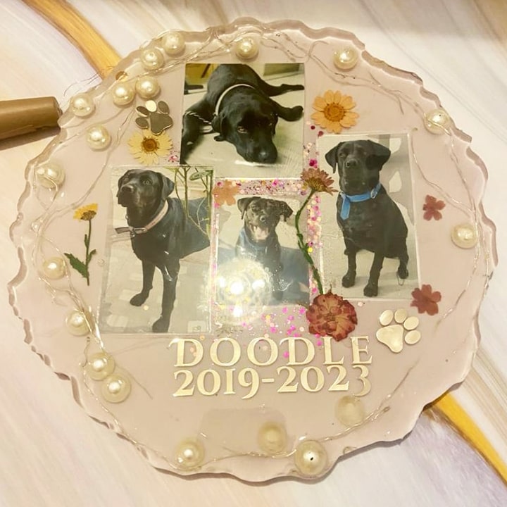 Dog Preservation Frame